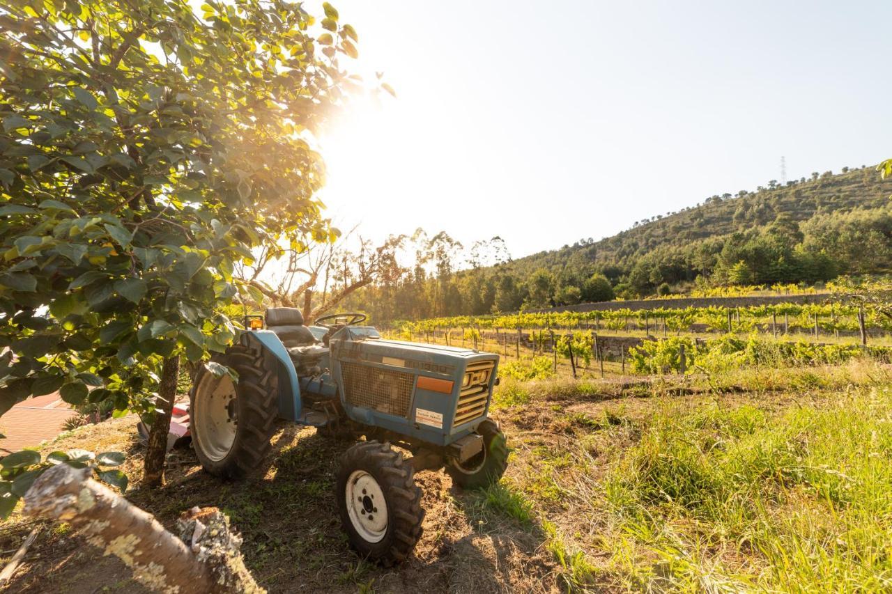 Quinta Da Fonte - Agroturismo Barroselas 외부 사진