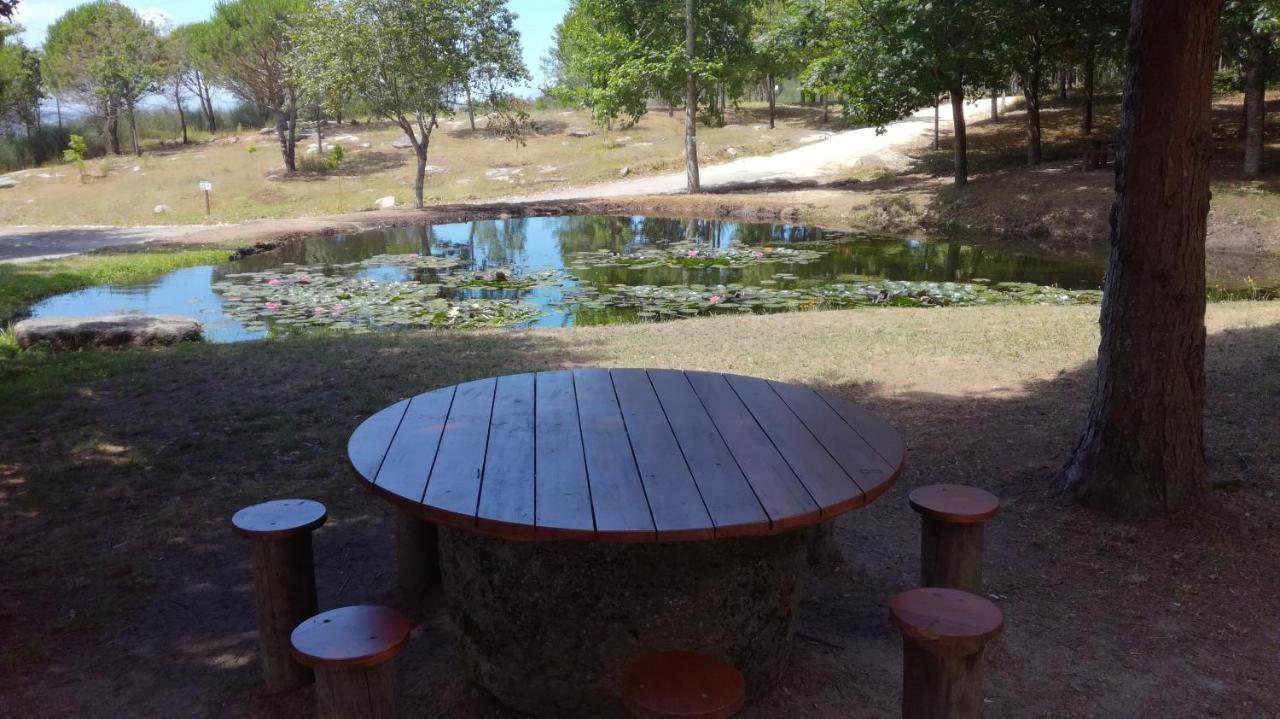 Quinta Da Fonte - Agroturismo Barroselas 외부 사진
