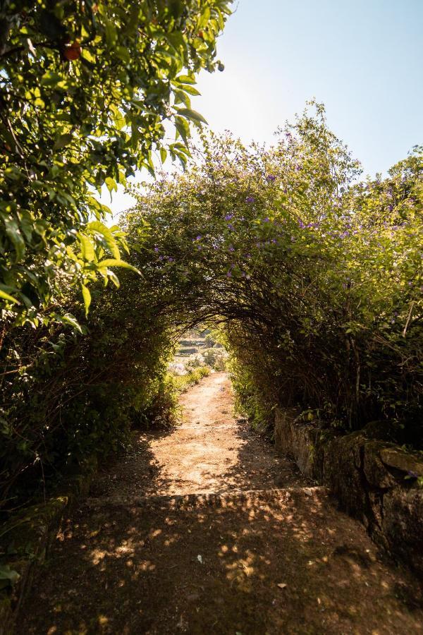 Quinta Da Fonte - Agroturismo Barroselas 외부 사진