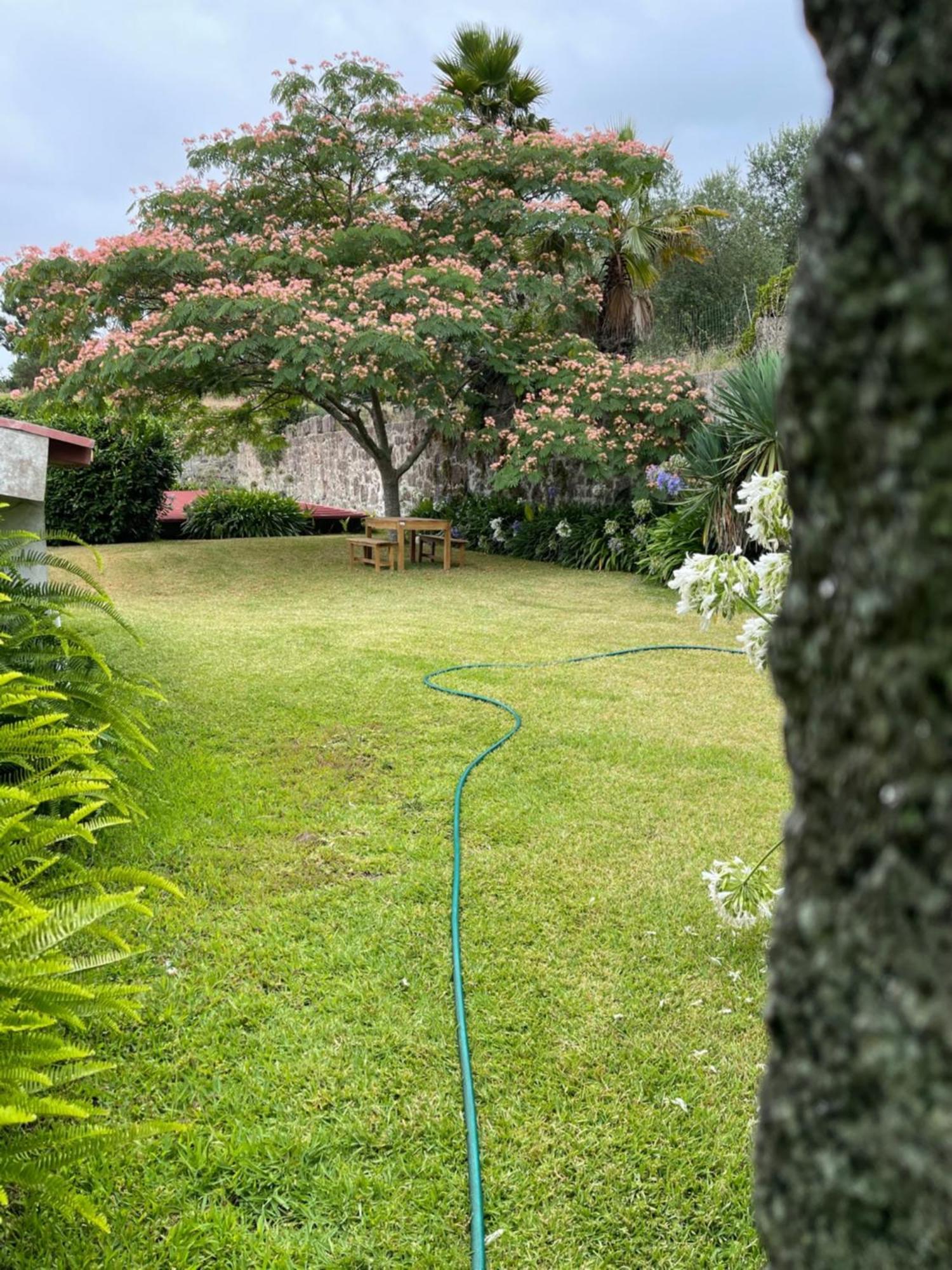 Quinta Da Fonte - Agroturismo Barroselas 외부 사진