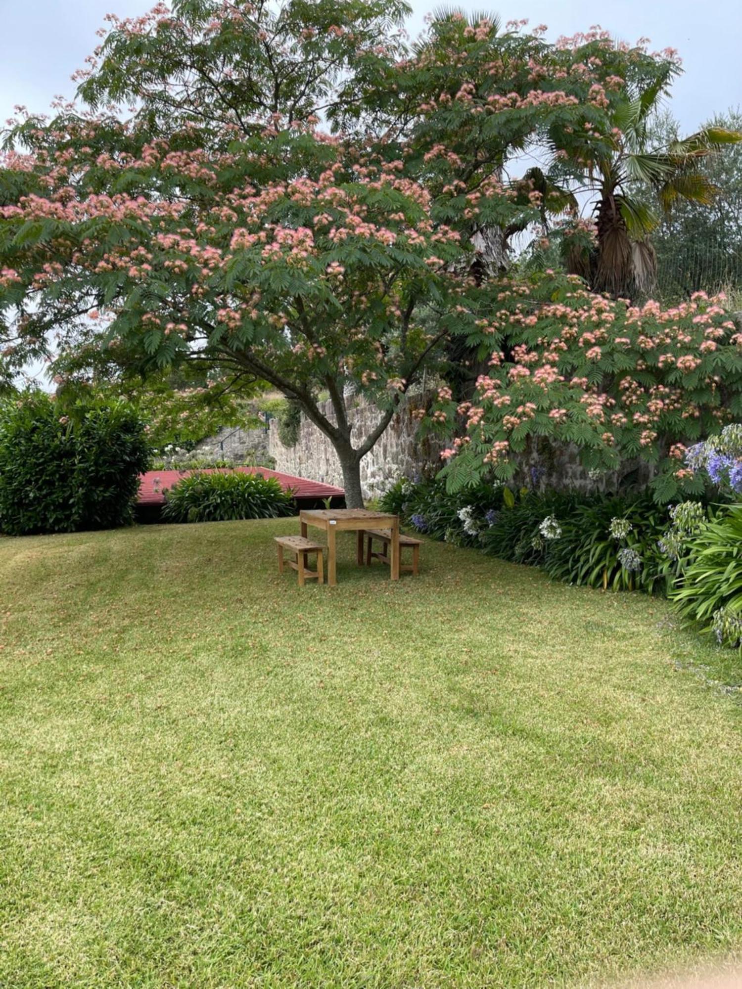 Quinta Da Fonte - Agroturismo Barroselas 객실 사진